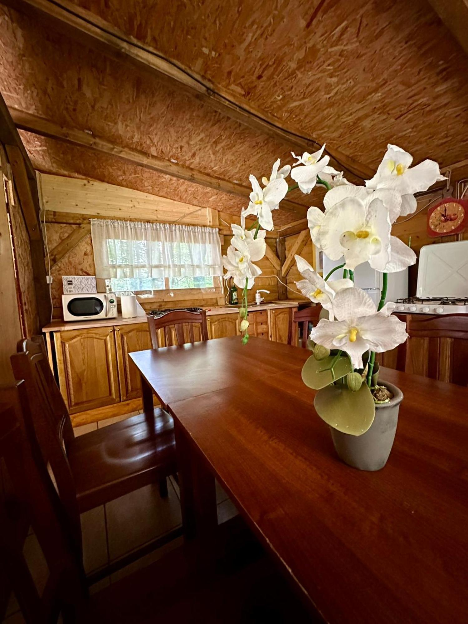Hotel Glamping Krn Kobarid Zewnętrze zdjęcie